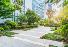 How Landscape Design Supports Sustainable, Eco-Friendly Yards