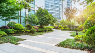 How Landscape Design Supports Sustainable, Eco-Friendly Yards