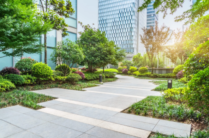 How Landscape Design Supports Sustainable, Eco-Friendly Yards