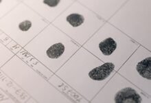 background checks for multiple ids