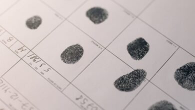 background checks for multiple ids