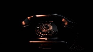 caller background records list with multiple phone numbers