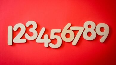 caller ids and tracking results listed