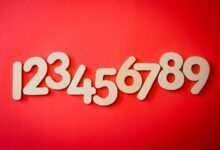 comprehensive phone number review summary