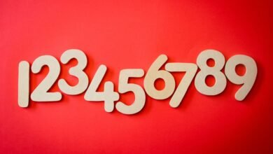comprehensive phone number review summary