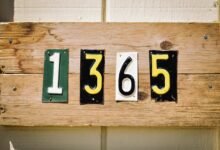 digital numbers comma separated includes spaces