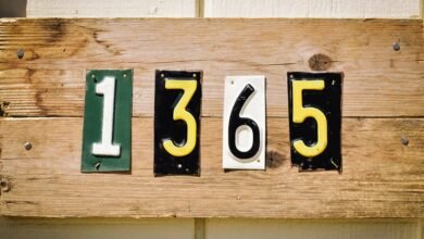 digital numbers comma separated includes spaces
