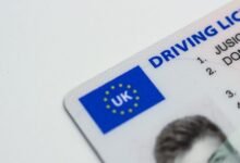 fresh information list of ids provided