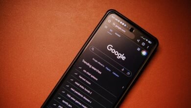 list of phone numbers provided