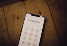 list of several phone numbers provided