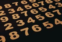 list of us phone numbers provided