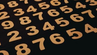 list of us phone numbers provided