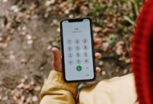 list of various phone numbers