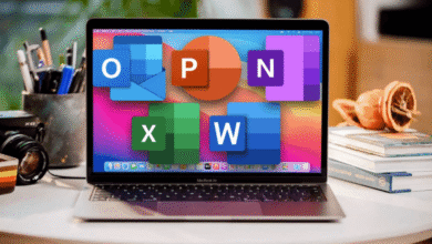 WPS Office vs Traditional Office Suites: What Will Change by 2026?