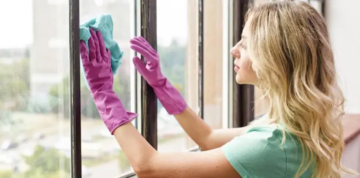 What You Should ask First when looking for a window cleaner
