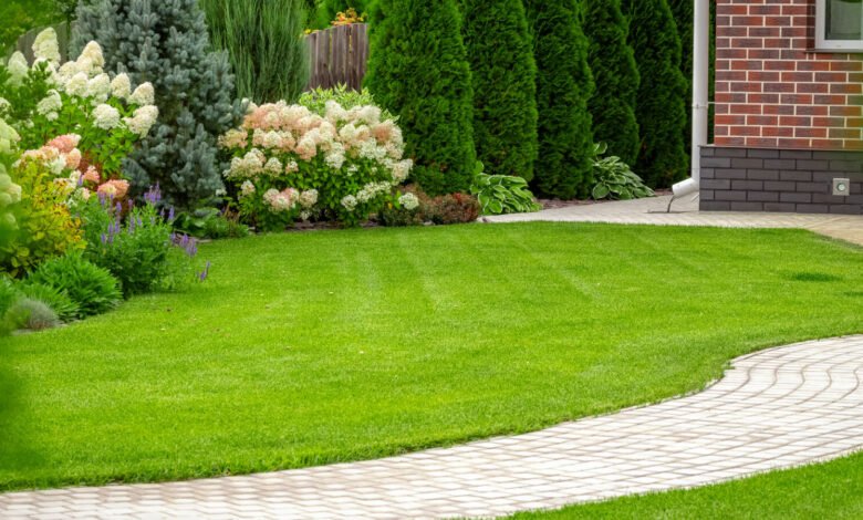 Top 5 Lawn Fixes That Save Money Long-Term