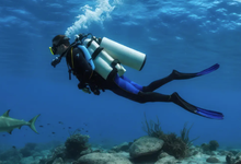 Discovering the Hidden Underwater Wonders of Costa Rica’s Pacific Coast