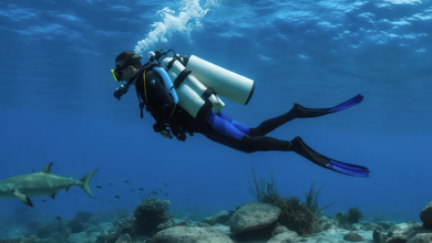 Discovering the Hidden Underwater Wonders of Costa Rica’s Pacific Coast