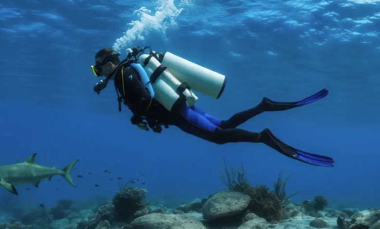 Discovering the Hidden Underwater Wonders of Costa Rica’s Pacific Coast 