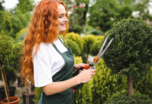 Getting a Landscaping Business Found Online