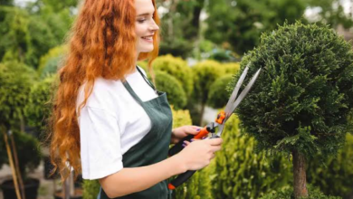 Getting a Landscaping Business Found Online
