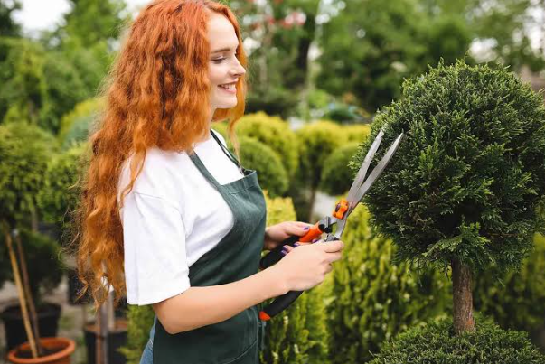 Getting a Landscaping Business Found Online